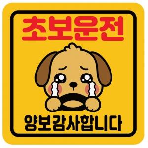 초보운전 스티커 SET
