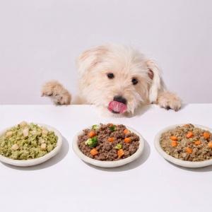 강아지 화식큐브 돼지고기 300g