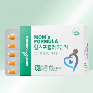 임산부 수유부 철분제