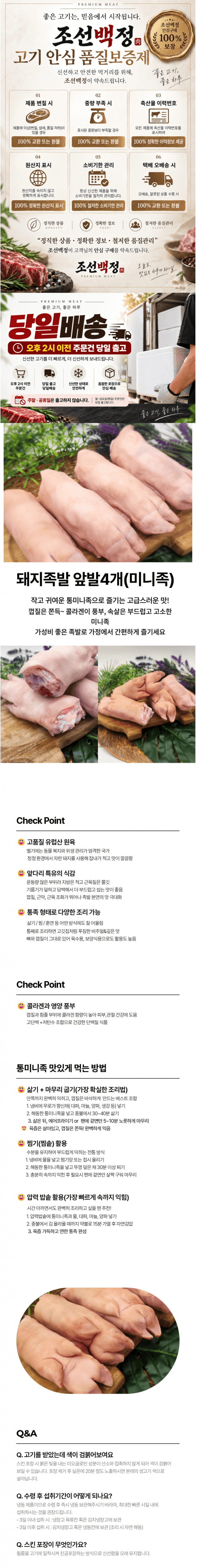미니 돼지족 사진 1