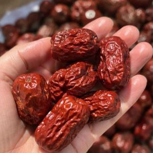 건대추 500g