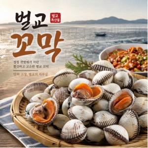 벌교새꼬막 3kg
