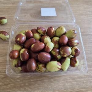 햇 생대추 500g