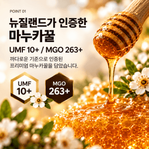 마누카 꿀 건강식품 1BOX