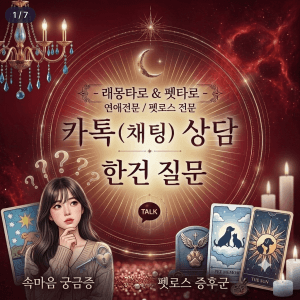 카톡 타로