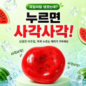 과일 샤베트 슬랑이 SET