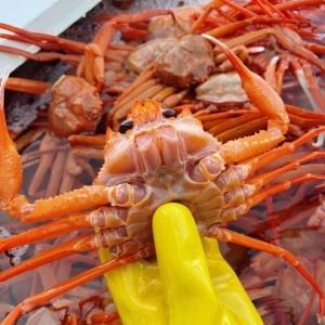 후포리 홍게 4kg