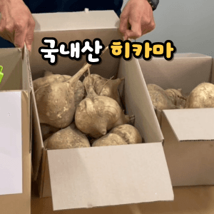 히카마 감자 3kg