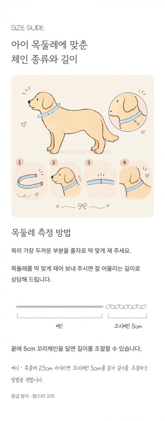 소형견 인식표 목걸이 사진 8