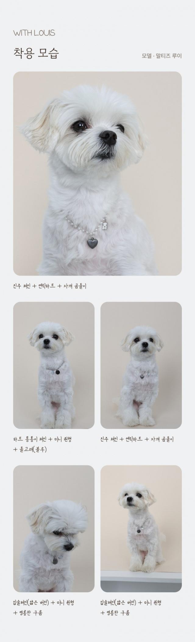 소형견 인식표 목걸이 사진 9