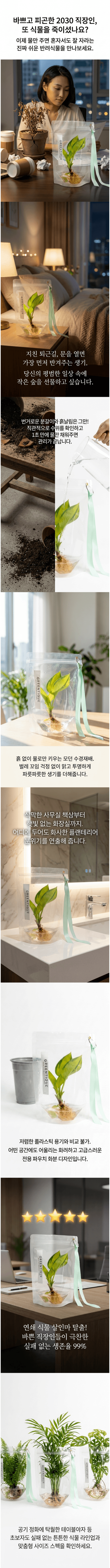 수경재배 반려식물 사진 1