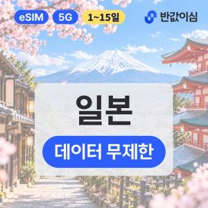 일본 eSIM 4일