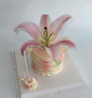 수제 케이크 픽업