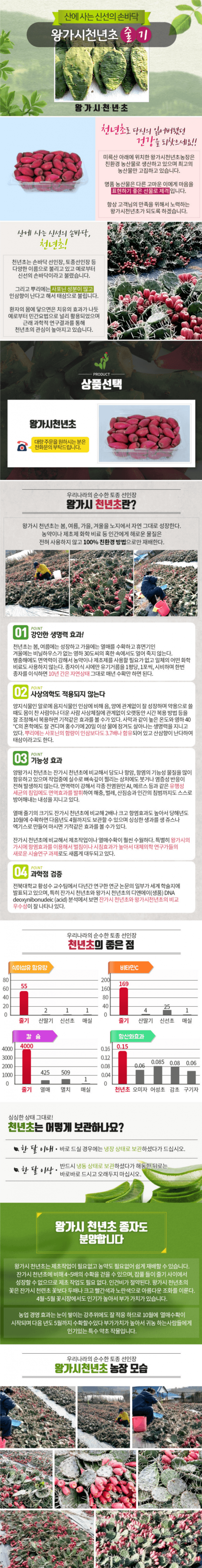 천년초 생열매 2kg 사진 1