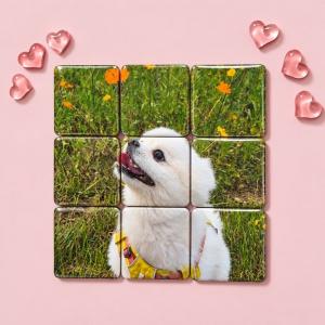 포토마그넷 퍼즐 SET
