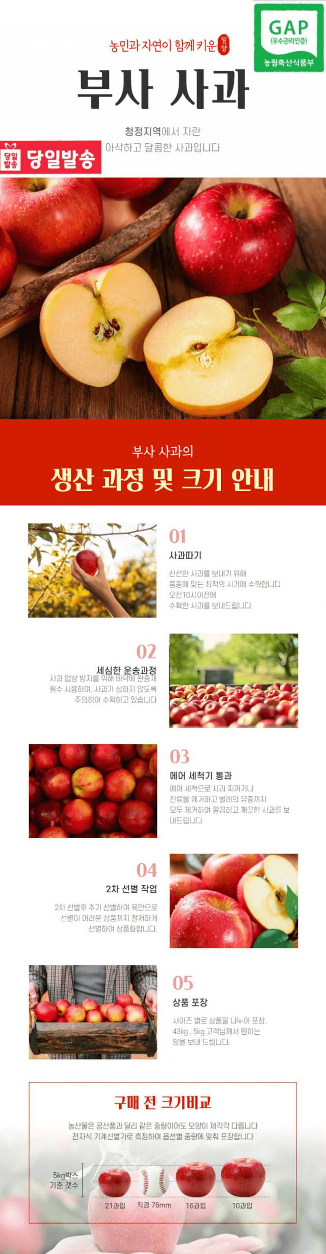 부사 사과 3kg 사진 1