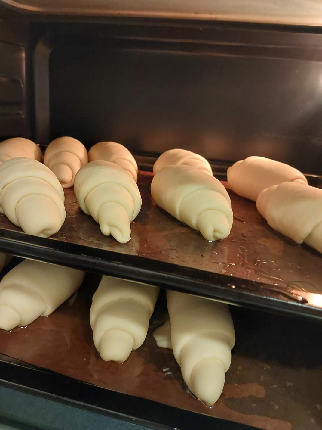 소금빵 냉동생지 SET