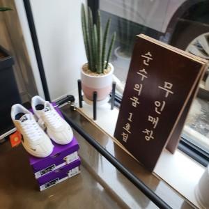 순수의꿈