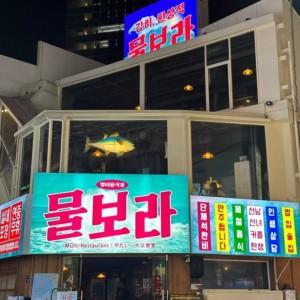 물보라