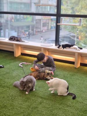 미니몽 고양이카페