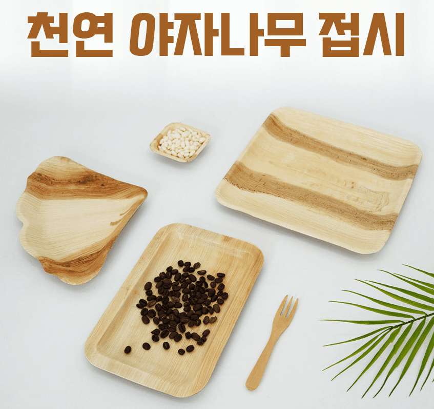 야자나무 접시