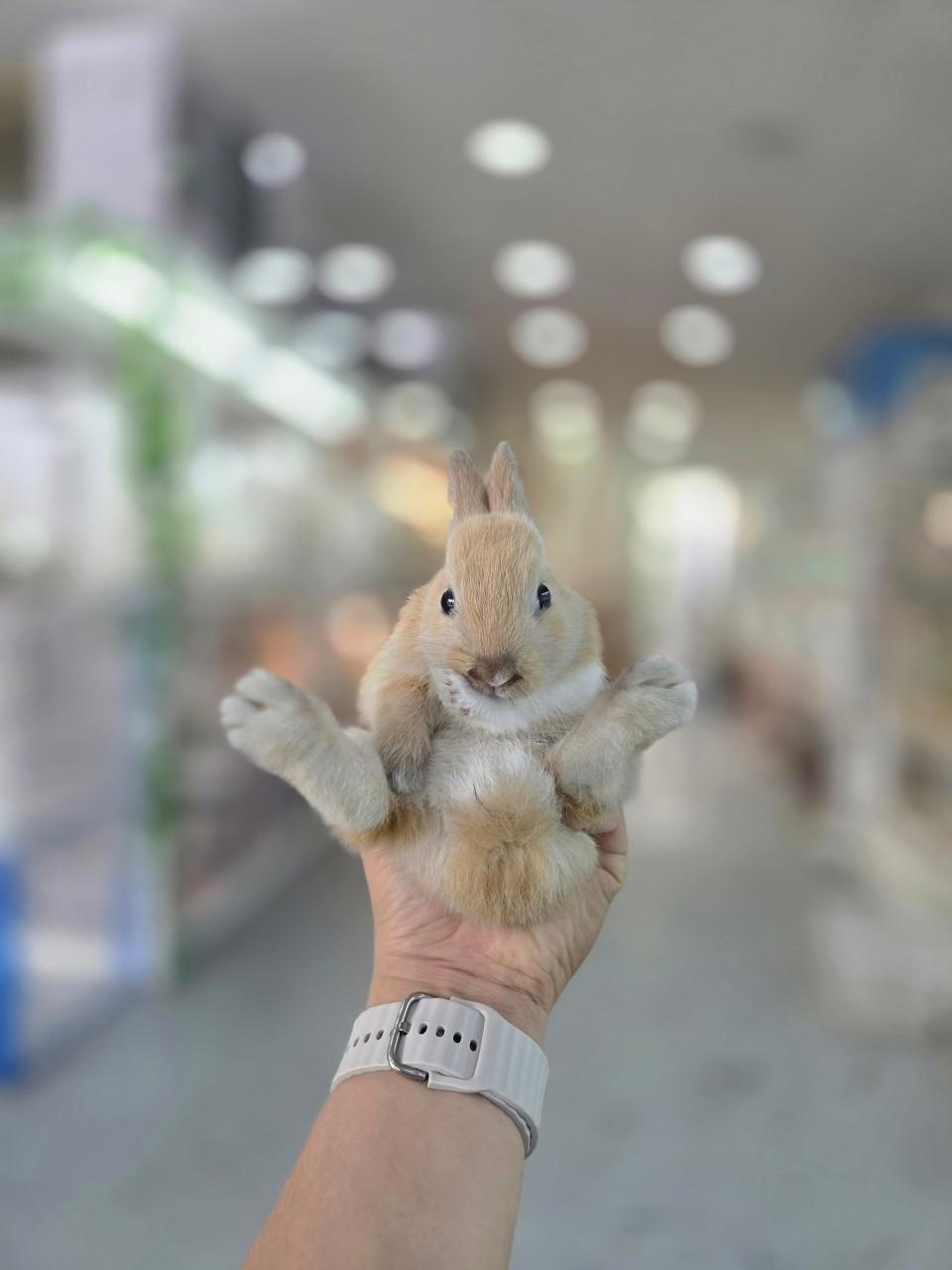 와우펫앤쥬 진주점