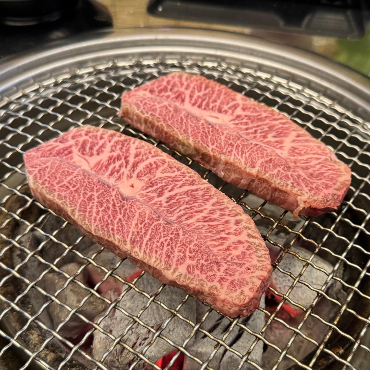 육식