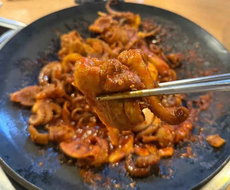 빨간쭈꾸미