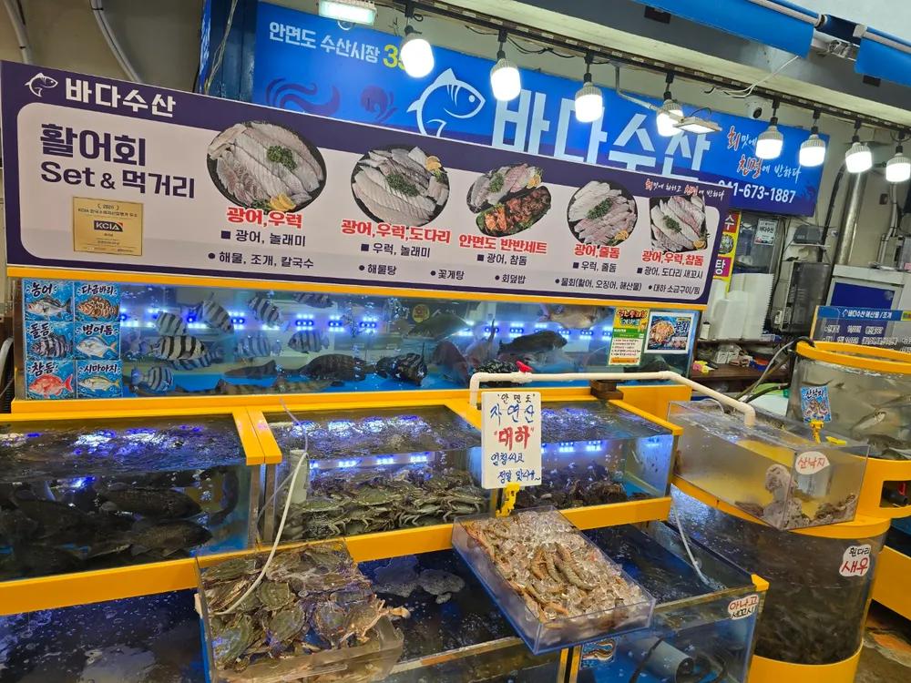 안면도바다수산