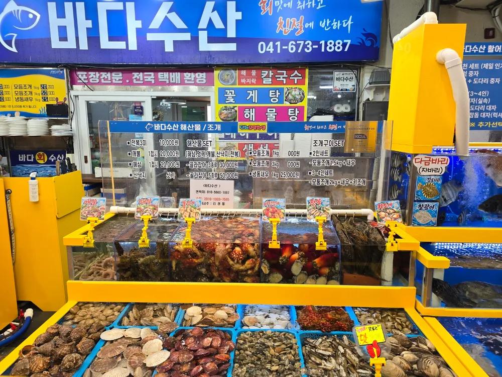 안면도바다수산