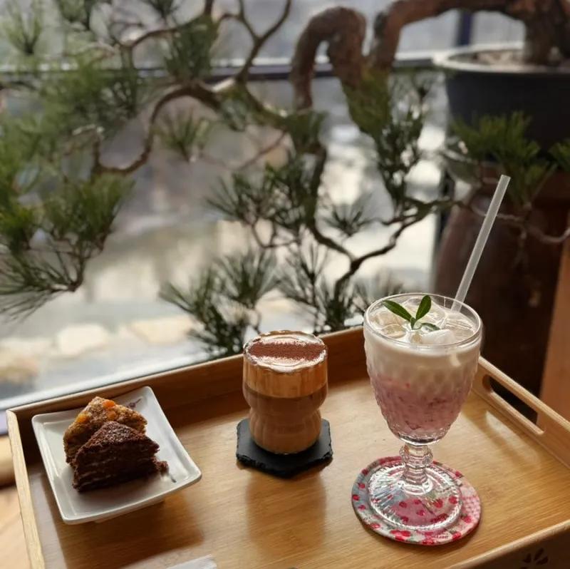 카페돌