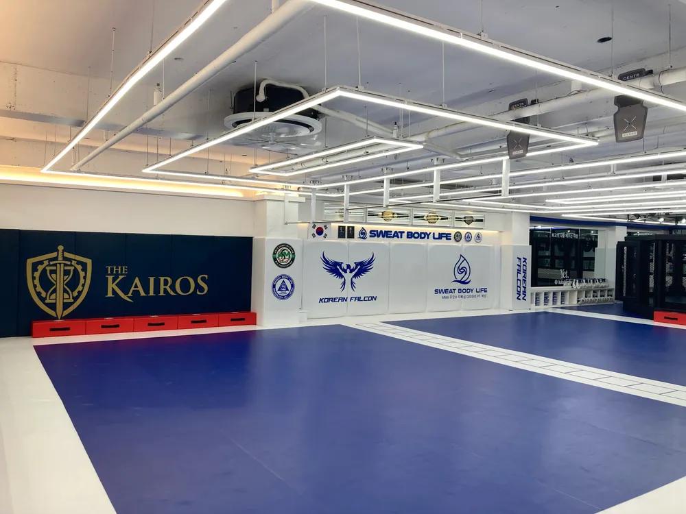 팀팔콘 주짓수 킥복싱 MMA 복싱