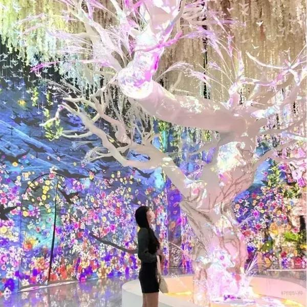 녹테마레