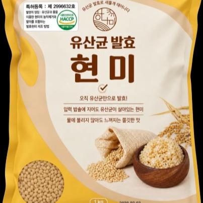 발효 현미