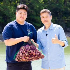 애드워드권도 인정한 산지직송 국내산 고성 통영 홍가리비