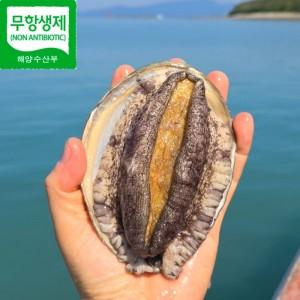 하루완도 특특대 완도 전복 1kg 활전복 회