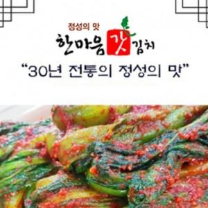 여수 돌산 갓 김치 전라도 국산 1kg, 1개