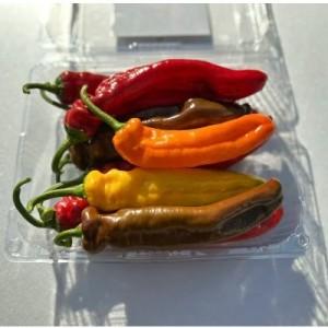 국내산 롱스위트 파프리카 1kg 삼색 파프리카 산지직송
