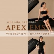 에이펙스 이엠에스 일산킨텍스점