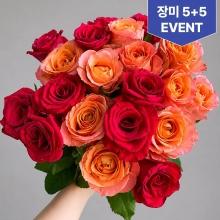 장미 꽃다발 행사 랜덤 장미 5송이+5송이 (...
