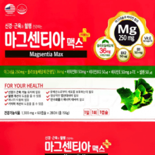 마그센티아 맥스