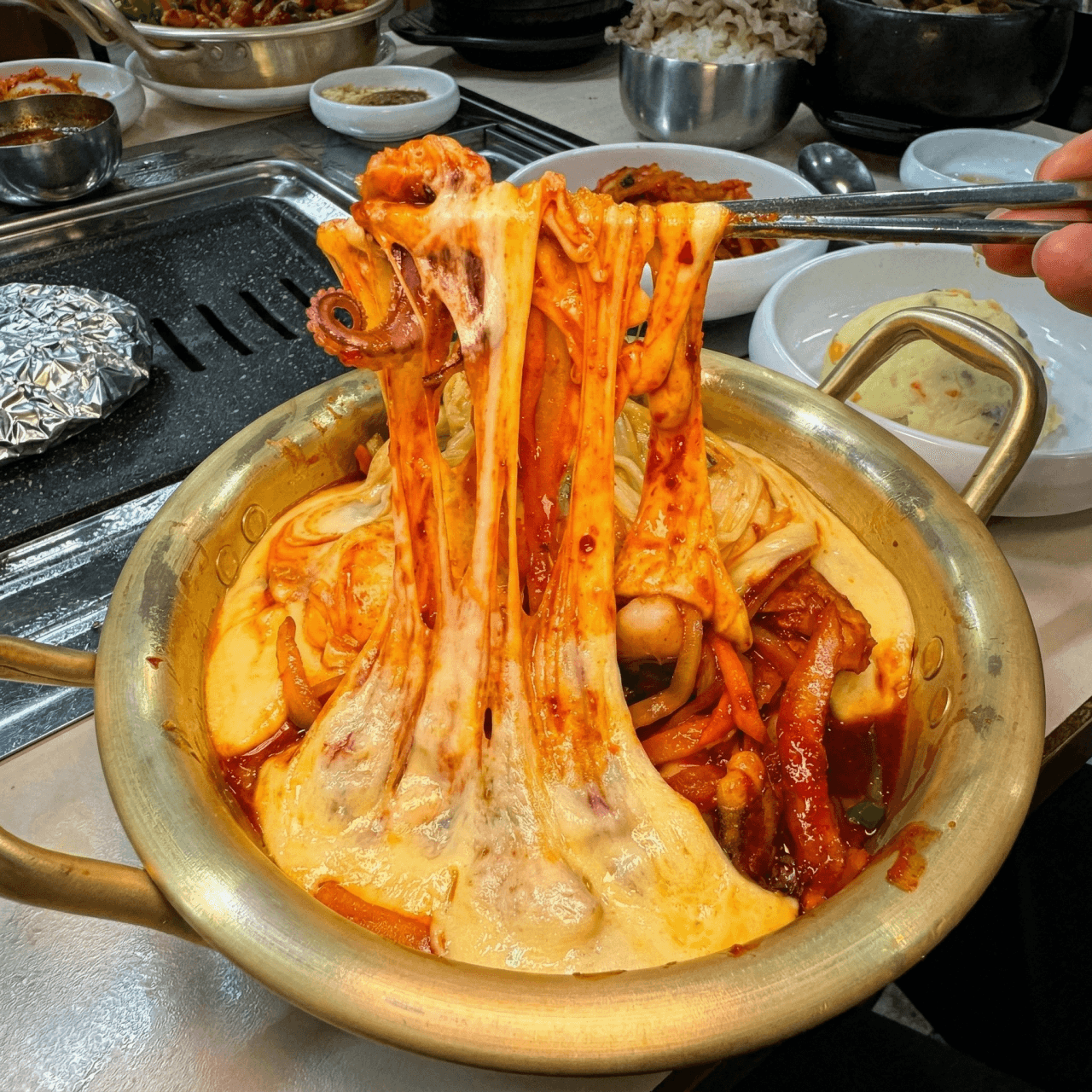 금백돈 사진 2