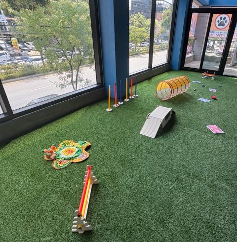 개린이보호구역 아중점-전주/덕진구/우아동 (~10.30)
