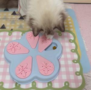 꽃잎 노즈워크 식기