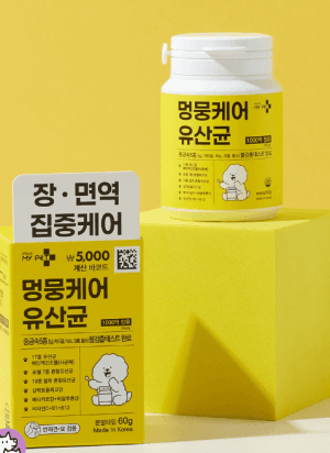 강아지 유산균 1BOX