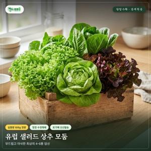 유러피언 쌈채소 600g