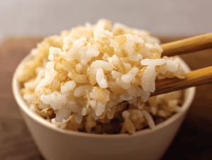 유산균 발효 현미 1kg