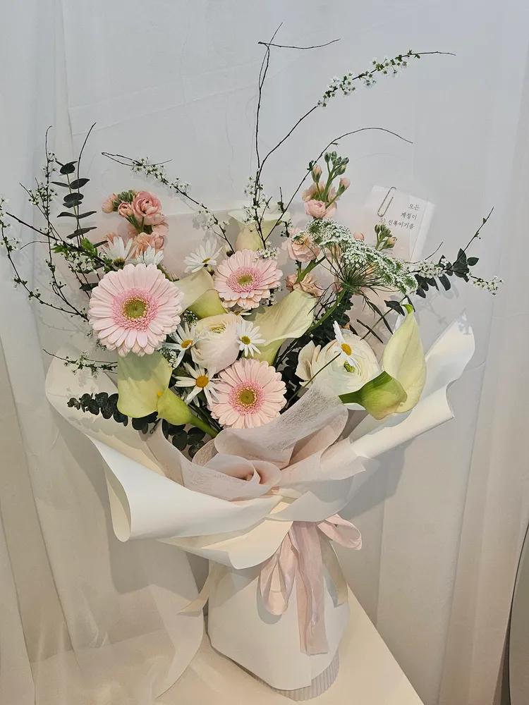 모든계절이신록이기를
