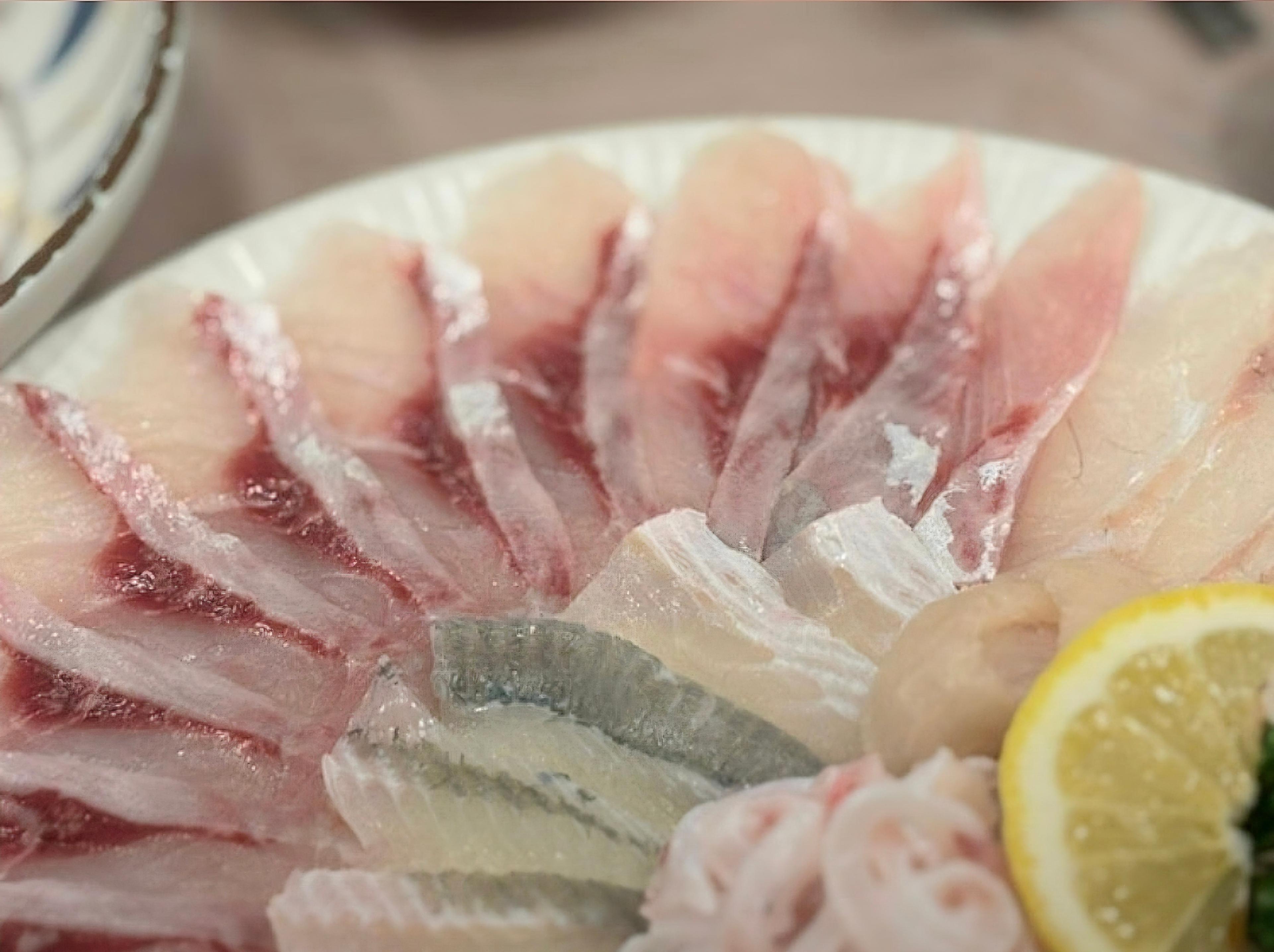 제철회가 맛있는 횟집 사진 10