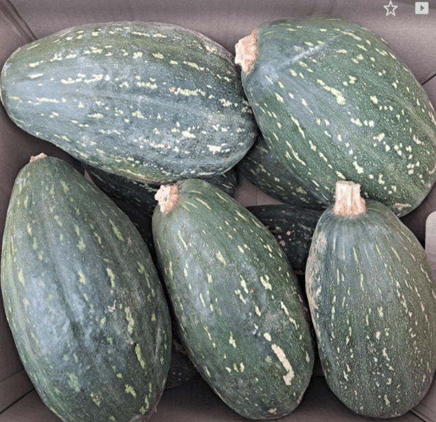 만차랑단호박 18kg (9-10개)